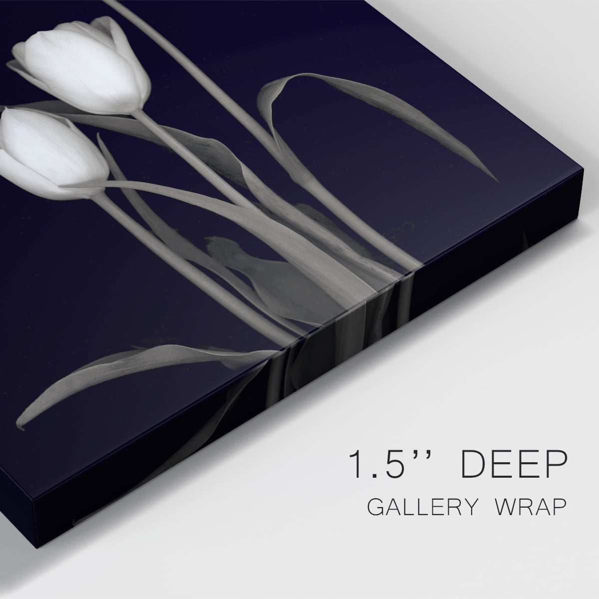 Tulip Pose III Premium Gallery Wrapped Canvas - Ready to Hang
