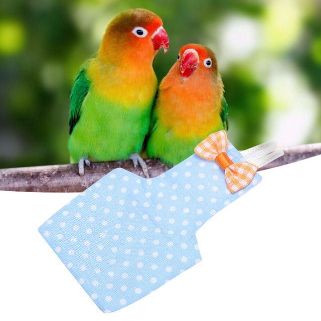Trajes De Vuelo Para Pájaros, Pa?ales Para Pájaros, Dise?o De Bolsillo Interior S/M Para Accesorios De Fotos De Pájaros Para Mascotas, Espectáculos De Pájaros Para Mascotas ANGGREK Otros