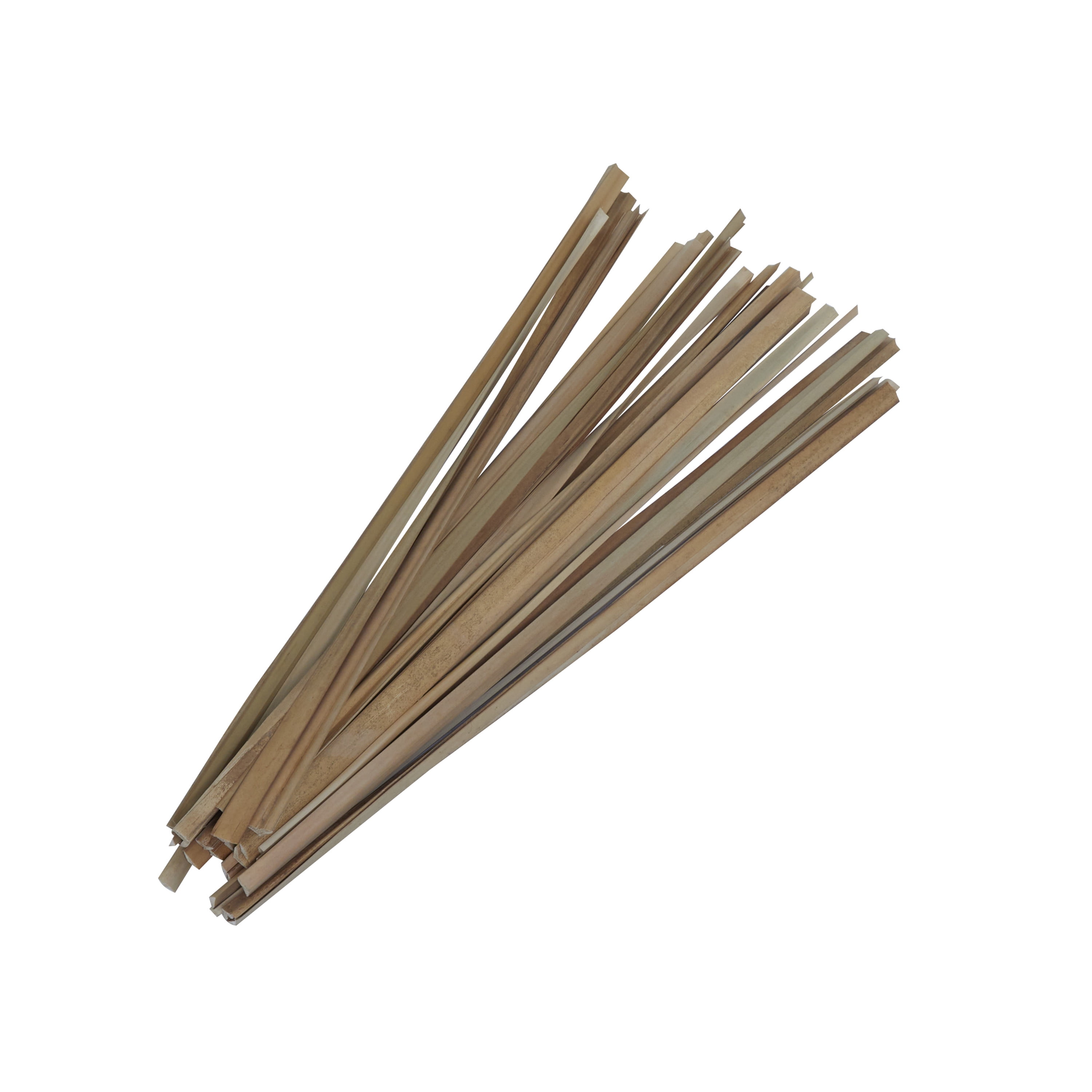 40" Dried Plant Natural Foliage Bouquet with Slender Stems, by DecMode