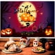 thumbnail image 4 of 1 paquete de decoración de pancarta de Halloween, Festival fantasma, foto de terror P Sincero Electrónica, 4 of 5