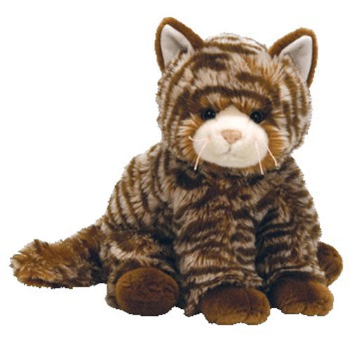 brown tabby cat teddy