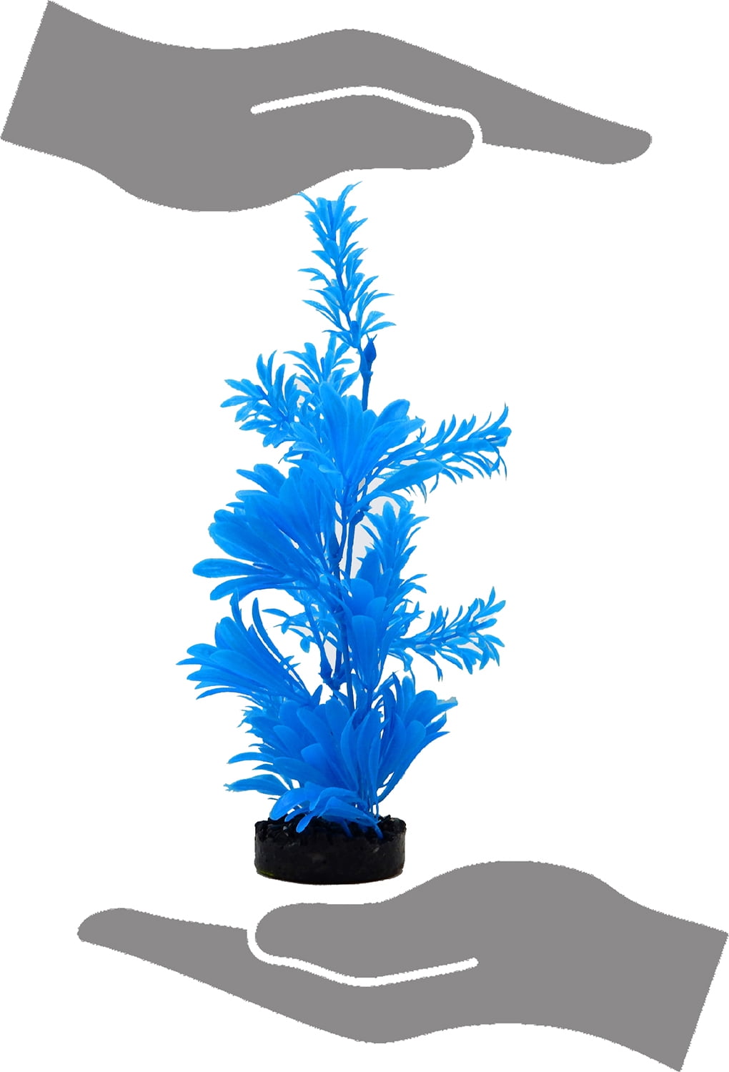 Aqua Culture Water Bouquet Aquarium Plant - Bright Color
