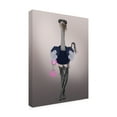 thumbnail image 2 of Trademark Fine Art 'Ostrich with Kinky Boots' Canvas Art by Fab Funky, 2 of 3