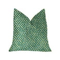 thumbnail image 1 of PBKR1910-2020-DP Plutus Coussin de Luxe Vert Mer Iota Turquoise, 20 x 20 Po., 1 of 3