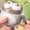 Khaki, variant on Black Black Electric Walking Insect Toy Owl Beetle Model For Kids With Light Sound