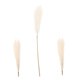 thumbnail image 5 of YSNOOWE 1Jgo Planta Artificial De Pampas Para Centro De En Bodas Y Eventos Beige, 5 of 7