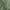 Sage Green, variant on OVZME Troy White Crushed Sheer Curtains 84 inches Long 2 Panels, Light Filtering Privacy Solid Texture Curtains with Rod Pocket Soft Breathable Window Treatments for Bedroom Living Room, 42Wx84L