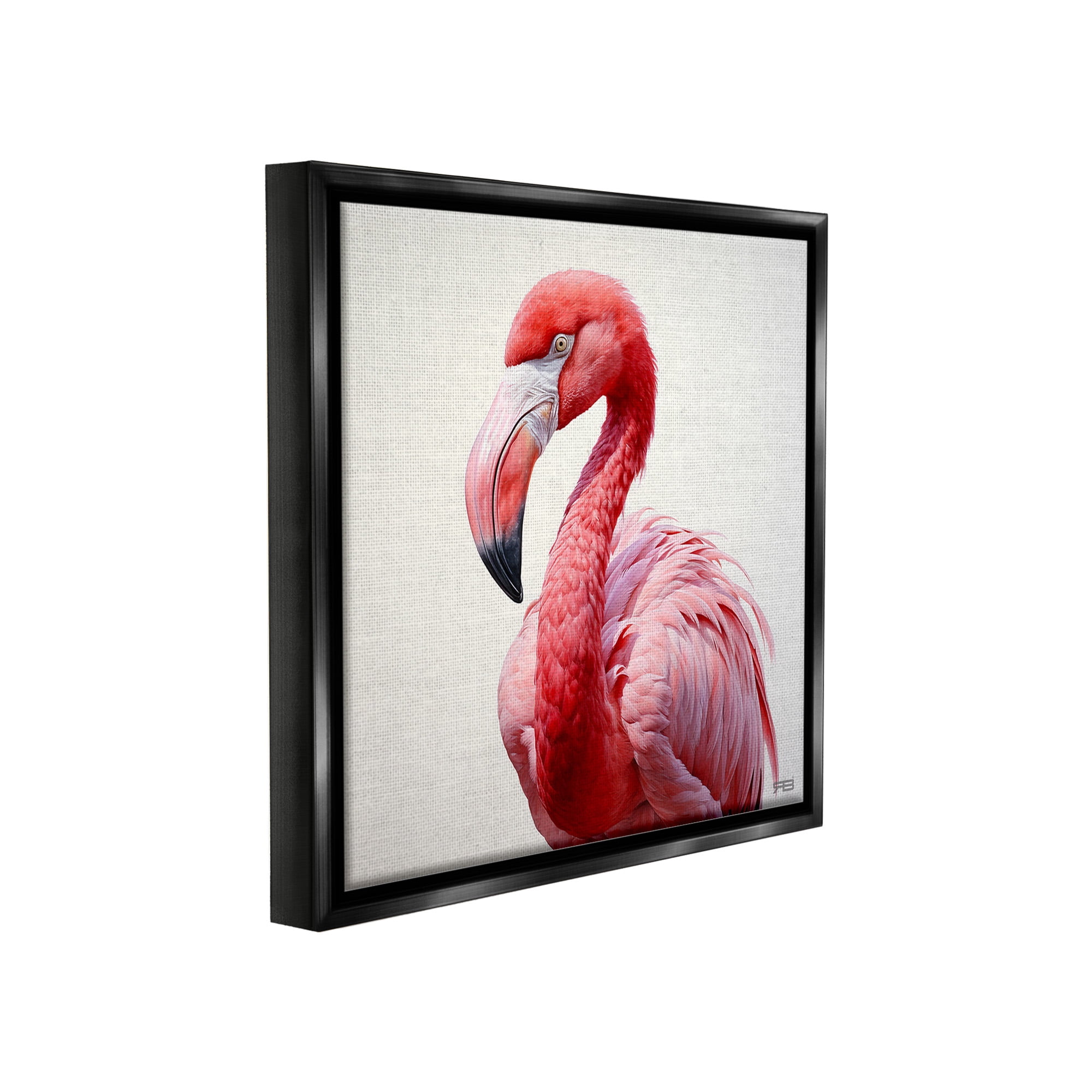 Stupell Industries Traditional Flamingo Portrait Animals & Insects Painting Black Floater Framed Canvas Art Print Wall Art, 25 x 25