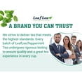 thumbnail image 5 of LeafLea 80 Peppermint Tea Bags, 100% Natural Peppermint Leaf, Light and Smooth Flavor, Caffeine-Free, Sugar-Free, Individually Wrapped, 5 of 17