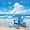 Blue Yellow, variant on Castle Fairy Layered Wooden Beach Wave Queen Bedding 7pcs,Seashell Rustic Coastal Landscape Bedding Comforter Set Queen,Teal Sand,Grey Reversible