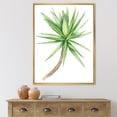 thumbnail image 2 of Designart 'Close Up Of Yucca Tree' Traditional Framed Canvas Wall Art Print, 2 of 5