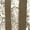 Coyote Brown, variant on Distressed US Flag Athletic Fit T-Shirt, Black, 2XL