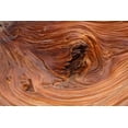 thumbnail image 2 of Jones, Adam 32x23 Gold Ornate Wood Framed with Double Matting Museum Art Print Titled - Pattern in wood of Bristlecone pine-White Mountains-Inyo National Forest-California, 2 of 4
