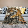 thumbnail image 2 of Autua Autumn Tiger Blanket - Soft, Cozy Flannel Throw Blankets Perfect for Couch, Bed, Travel - Fuzzy, Fluffy Home Decor for Indoor and Outdoor Use  50x60in, 2 of 6