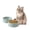 Light Green, variant on LarqeeWare Ceramic Set of 2 Cat Bowls, Food and Water Bowls for Cats, Kitty, 2pcs Cat Dishes, Pet Feeder(5.1inch, 2 x Light Green Bowls)