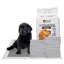 FPN Charcoal Puppy Pads 18x13 Inch