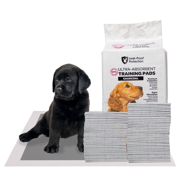 FPN Charcoal Puppy Pads 18x13 Inch