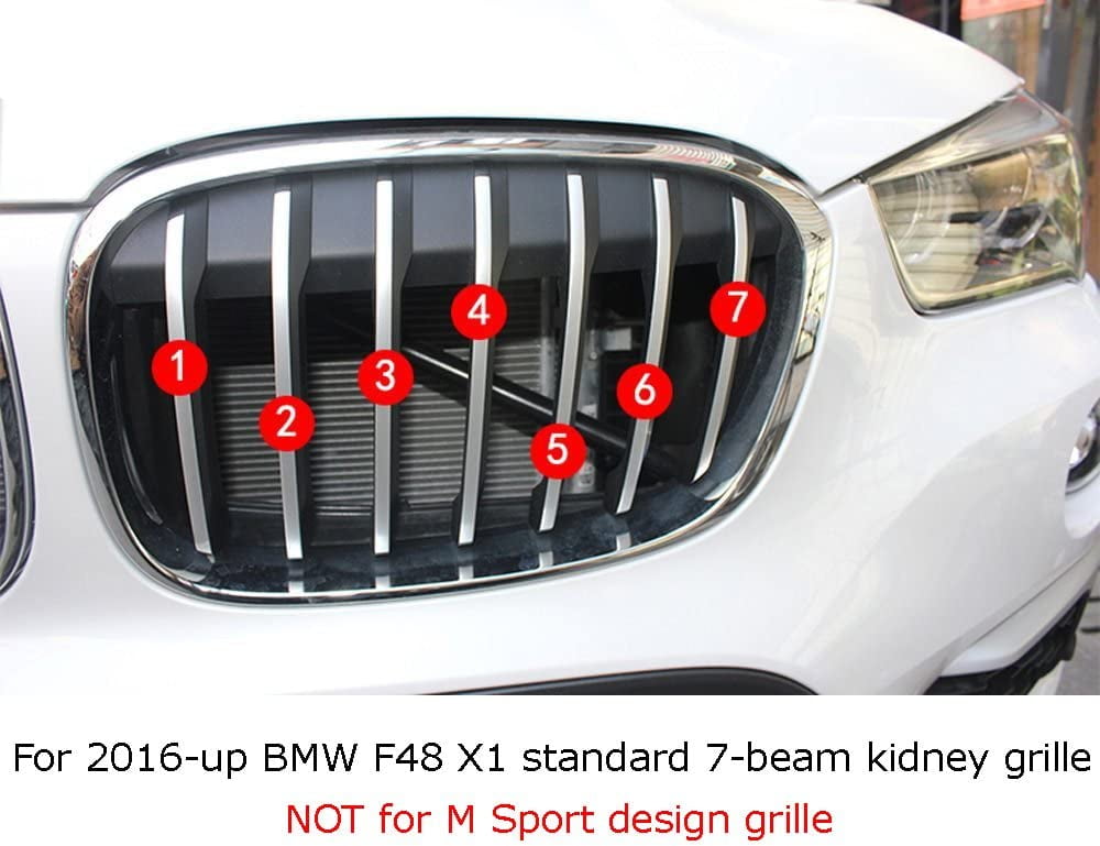 Lanyun X1 F48 m-Colored Grille Insert Stripes Trims for 2020-2021 F48 Lanyun X1 F48 colored grille insert stripes trims compatible with