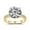 Yellow Gold, variant on 4CT Moissanite Engagement Rings for Women, S925 Sterling Silver with 18K White Gold Plated Promise Wedding Ring Size4