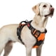 thumbnail image 1 of Arnés para perros Rabbitgoo, mejorado, sin tirones, para perros grandes, color naranja L, 1 of 8