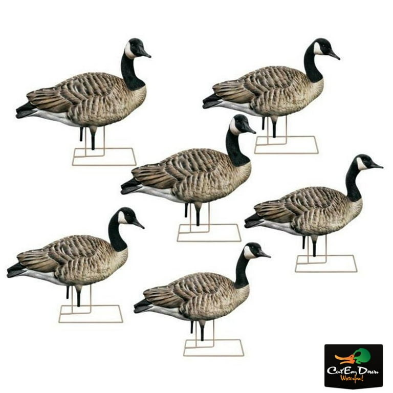 Avian-X AXP Full-Body Painted Canada Goose Decoys, Walkers