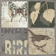 thumbnail image 2 of Phillips, Anita 15x15 White Modern Wood Framed Museum Art Print Titled - Bird 4 Patch V, 2 of 4