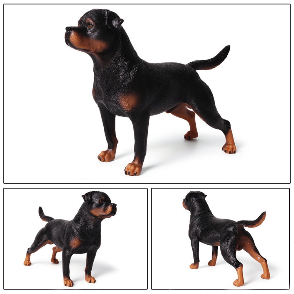 rottweiler accessories online