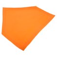 thumbnail image 1 of LOLIPPYY Lot de 1 Assiette Plate Triangulaire TPE Baseball pour Activités Intérieures Extérieures Base Course 16.5x16.1x0.08 Po, 1 of 8