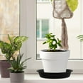 thumbnail image 4 of IDEANATEGRATE Water Catcher Plant Saucer 6Pcs 5.9In Black PP for Potted Plants, 4 of 8