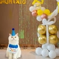 thumbnail image 5 of Birthday Party Hat Bibs Scarf And Cat, 5 of 6