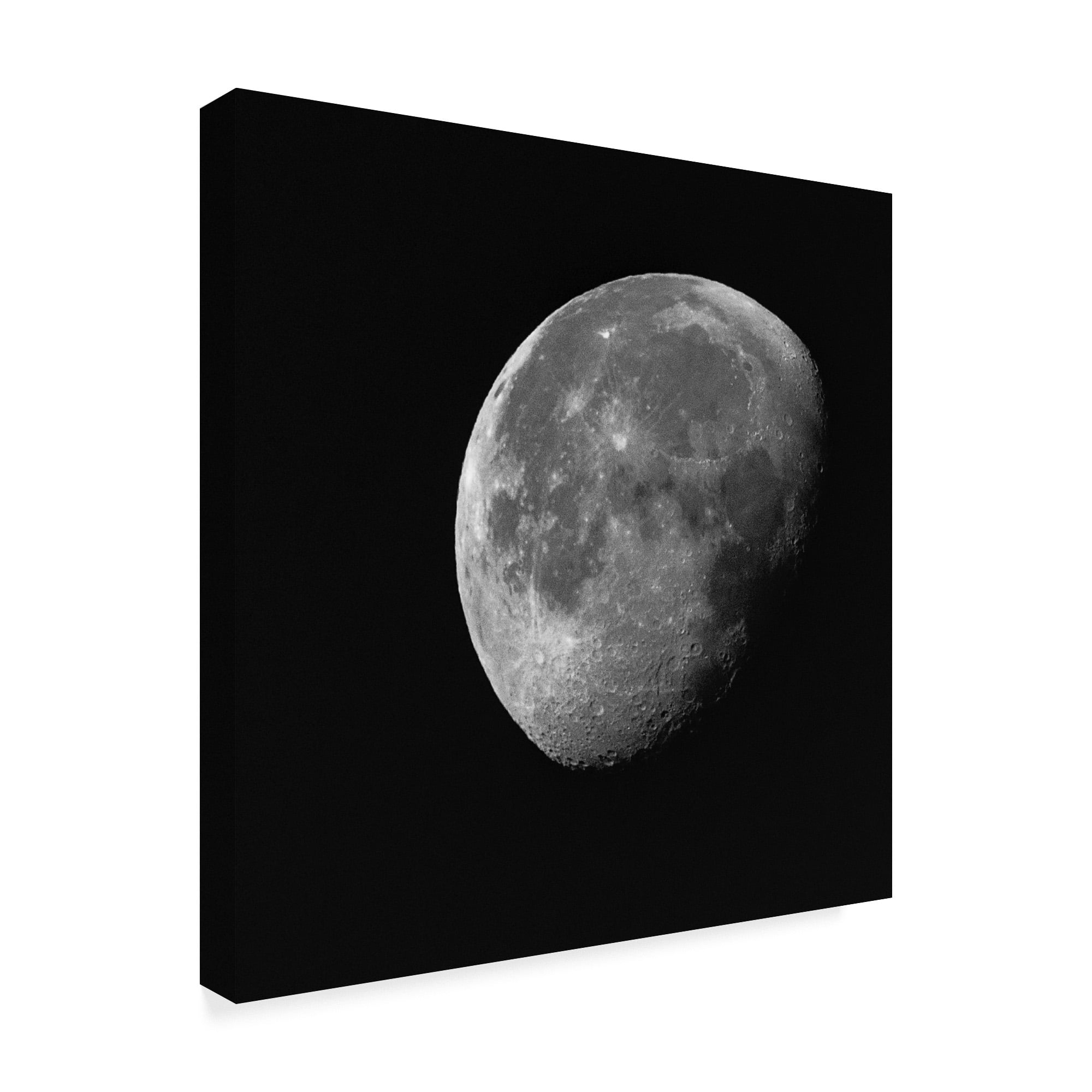 Trademark Fine Art 'Near Side Of The Moon' Canvas Art by Brenda Petrella Photography Llc