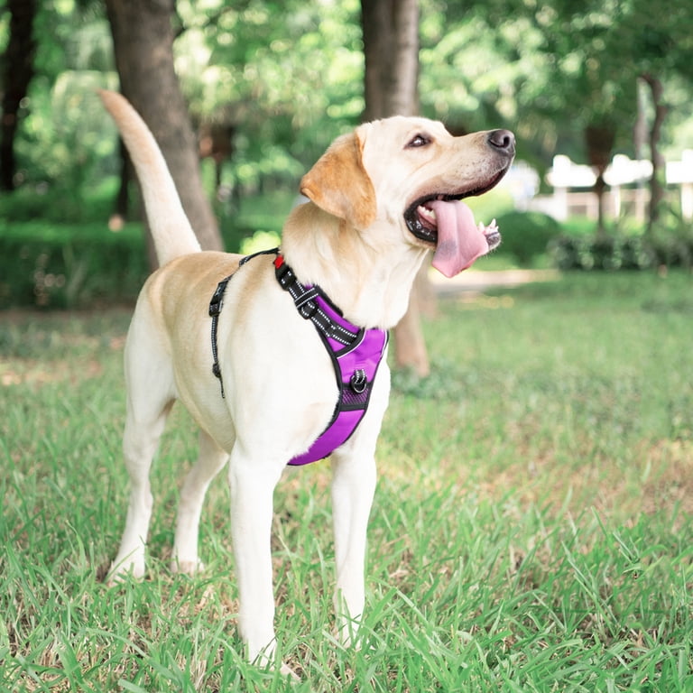 PoyPet No Pull Dog Harness, Adjustable Soft Padded Vest, Large photo 2