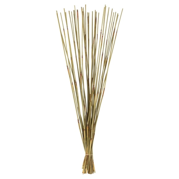 Vickerman 40" Natural Elephant Reed, 10 oz Bundle, Dried