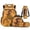 Skate Dachshund, variant on HUIACONG 4PCS Single Orange Capybara Kids School Backpack Set, 17" Bookbag with Lunch Box Pencil Case Water Bottle Sleeve for Age 8-12