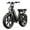 R7-15AH-Black(Walmart exclusive), variant on TST Electric Bike for Adults, 750W Peak 1500W Motor, 20"x4" Fat Tire, E Mountain Bike, 48V/15AH UL2849
