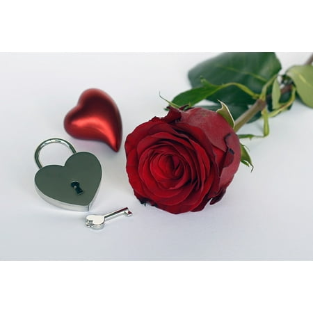 - Peel-n-Stick Poster of Castle Red Heart Key Open Red Rose Rose Poster 24x16 Adhesive Sticker Poster Print