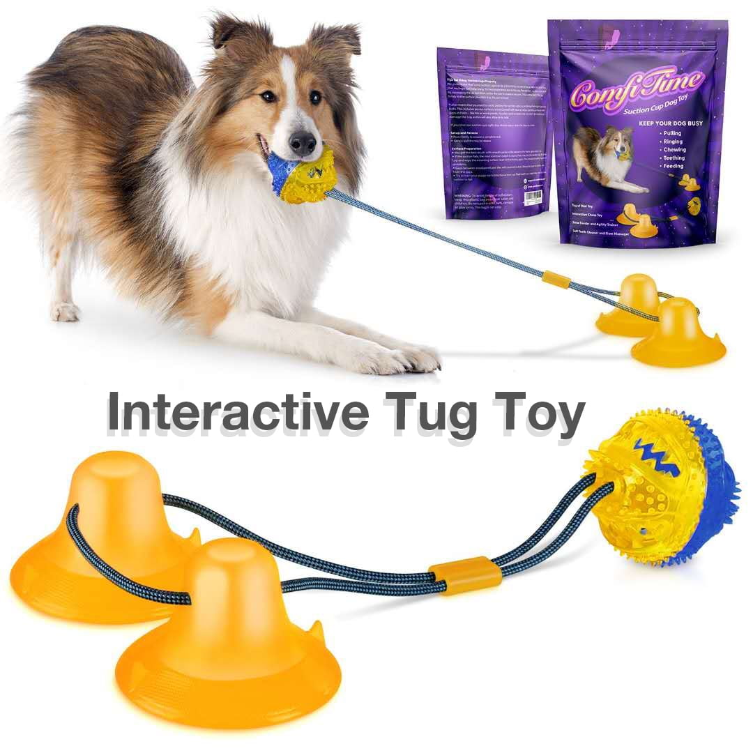 Interactive Dog Chew Toy for Teeth Cleaning Pet Molar Bite Toy for Dogs FANZ Dog Tug Toy with Double Suction Cup and Sticker 