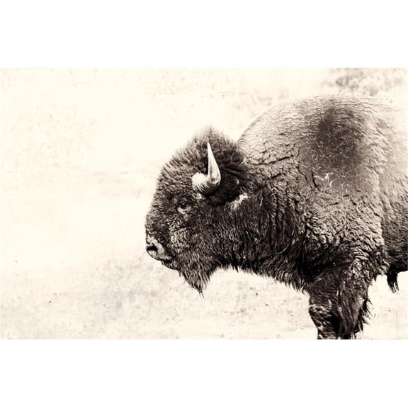 Pemberly Row 84x54 Buffalo Fine Art Giant Canvas Print in Pink