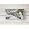 thumbnail image 2 of Carolines Treasures ASA2180PW1216 Grey Squirrel Fabric Decorative Pillow, 2 of 3