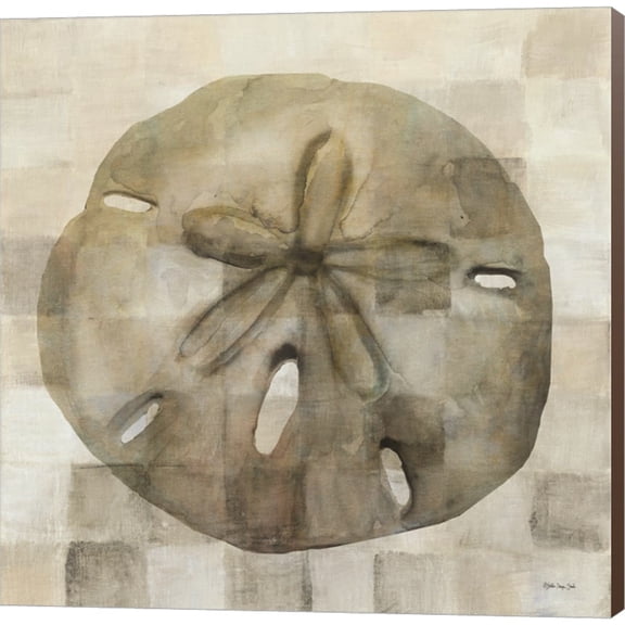 Great Art Now Sand Dollar by Stellar Design Studio, Canvas Wall Art, 24W x 24H