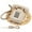 Beige, variant on Corded Landline Telephone with Answering Machine, Clear Sound Vintage Phone, Old Fashioned Desk Senior Telephone Decor for Home Office Hotel