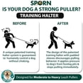 thumbnail image 5 of Sporn Original Training Halter, Small Dog Harness No Pull for Small Sized & Toy Breeds, 5 of 6