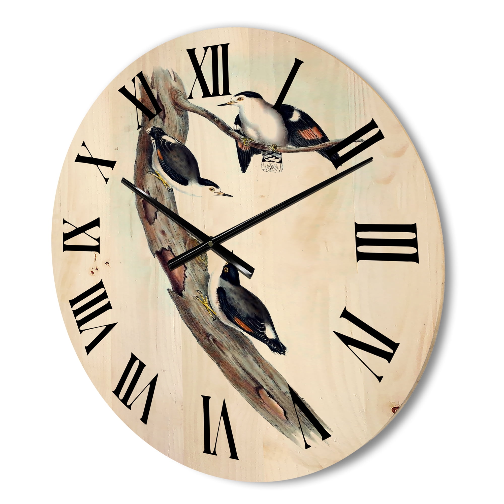 Designart 'Ancient Australian Bird Illustrations I' Traditional Wood Wall Clock