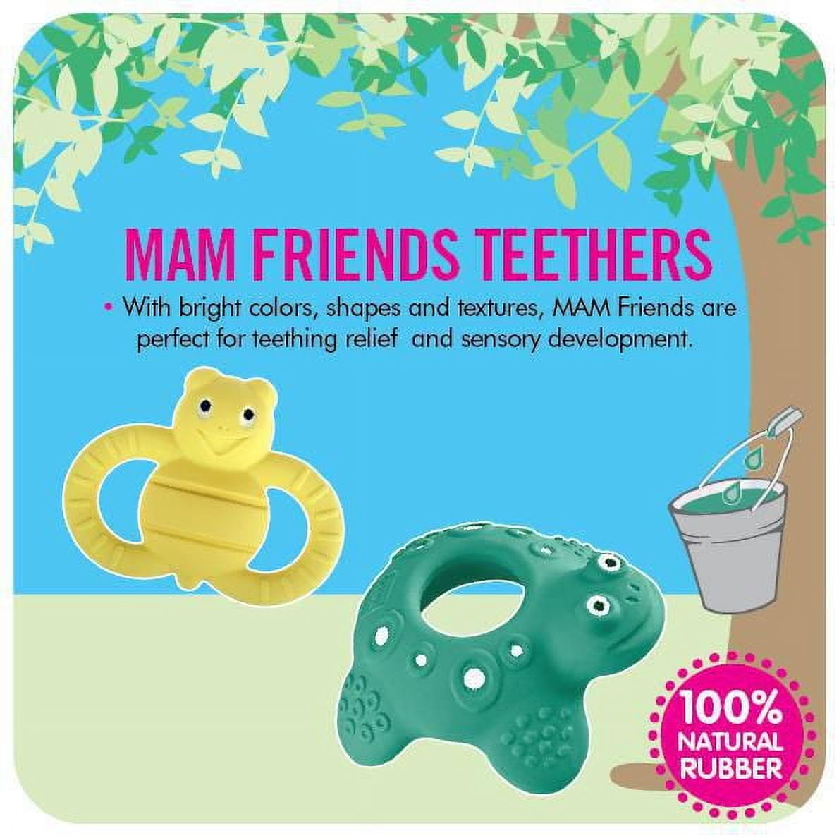 MAM Friends Lucy the Snail 100% Natural Rubber Developmental Teething Toy, 2+ Months, 1-Count, Unisex