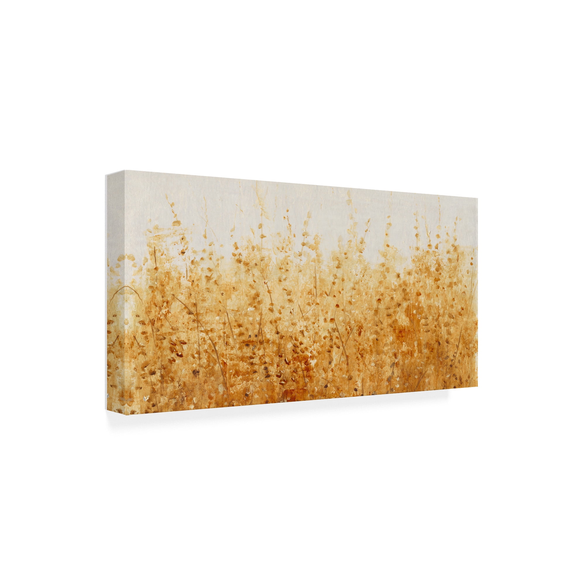 Trademark Fine Art 'Ochre Fields I' Canvas Art by Tim OToole