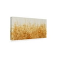 thumbnail image 2 of Trademark Fine Art 'Ochre Fields I' Canvas Art by Tim OToole, 2 of 4
