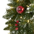 thumbnail image 4 of Nearly Natural 24" Prelit LED Frosted Artificial Christmas Wreath, 4 of 5