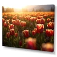thumbnail image 2 of Designart "A Lush Field II" Tulips Canvas Wall Art, 2 of 7