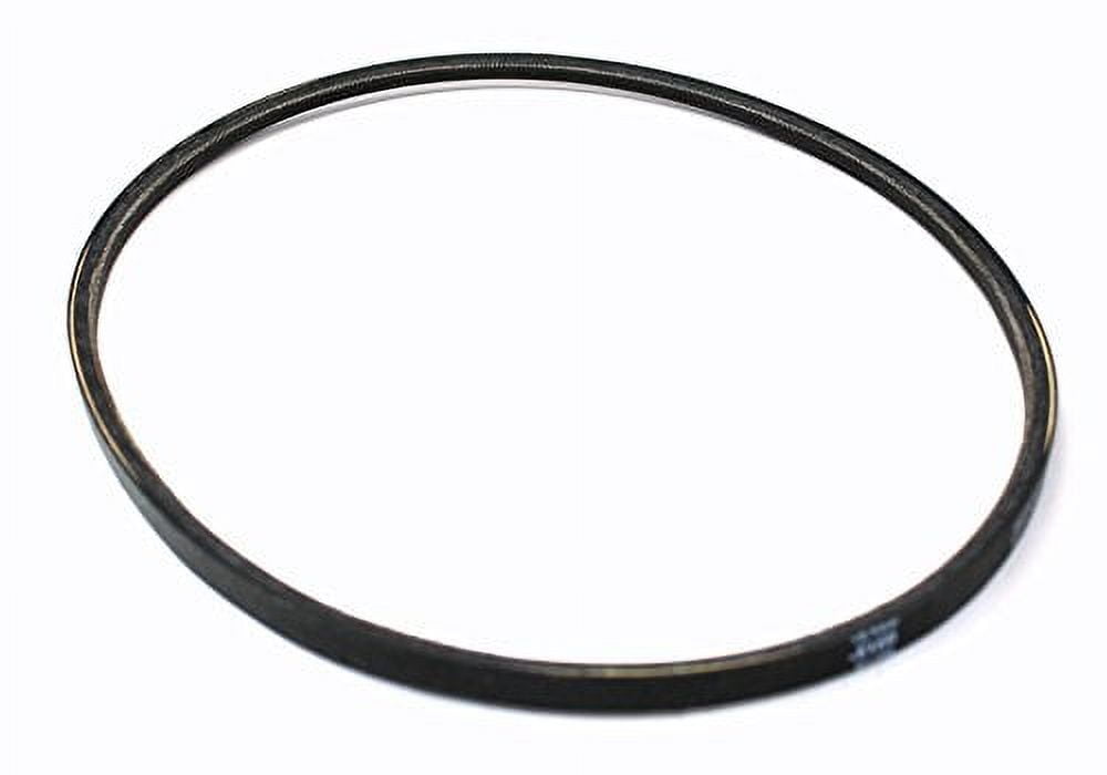 Bissell Pump Flat Proheat 1699 1698 8904 8804 7901 Belt - Walmart.com