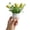 Yellow, variant on Wozhuo Easter Egg Mini Potted Plants Artificial Succulent Decor